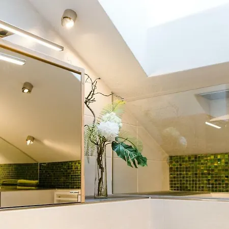 Appartement Altstadt-loft