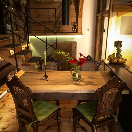 Altstadt-loft 公寓 *