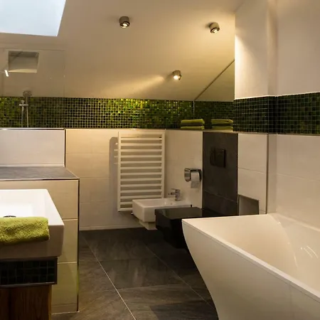 Altstadt-loft * 福森