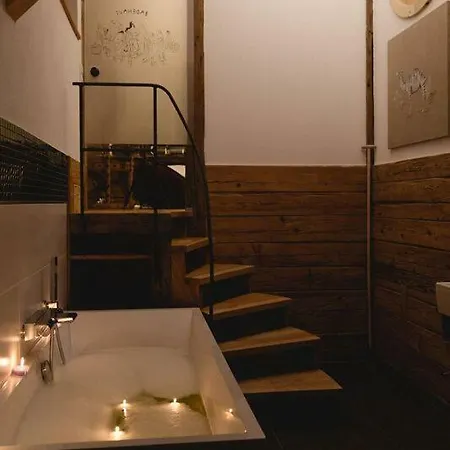 Altstadt-loft 公寓 福森