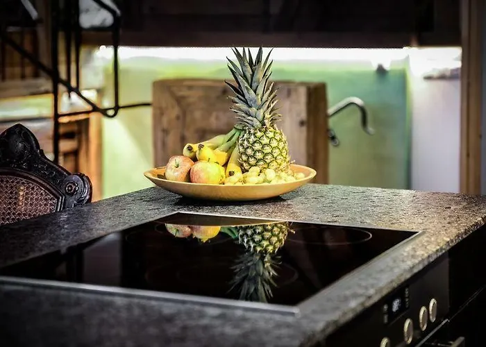 Altstadt-loft 公寓 福森