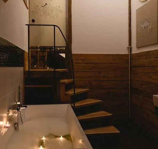 Altstadt-loft 公寓 福森